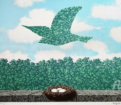 acc52c78-28c3-4f10-b089-fa7cea49b2b7 acc52c78-28c3-4f10-b089-fa7cea49b2b7