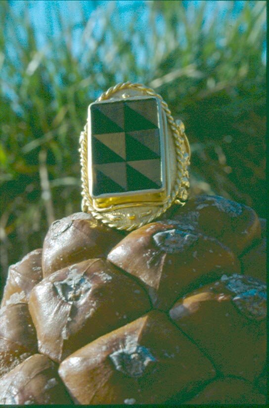 anellooniceocchioditigre2 anellooniceocchioditigre2