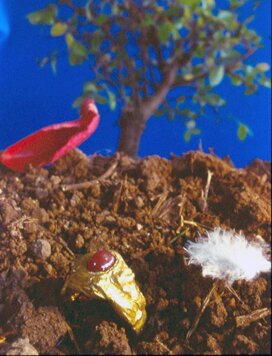 anellorubinostellatorositogioielli anellorubinostellatorositogioielli