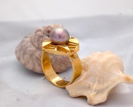 anelloperla_1 anelloperla_1