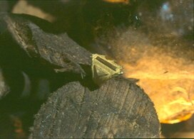anelloromborositogioielli anelloromborositogioielli