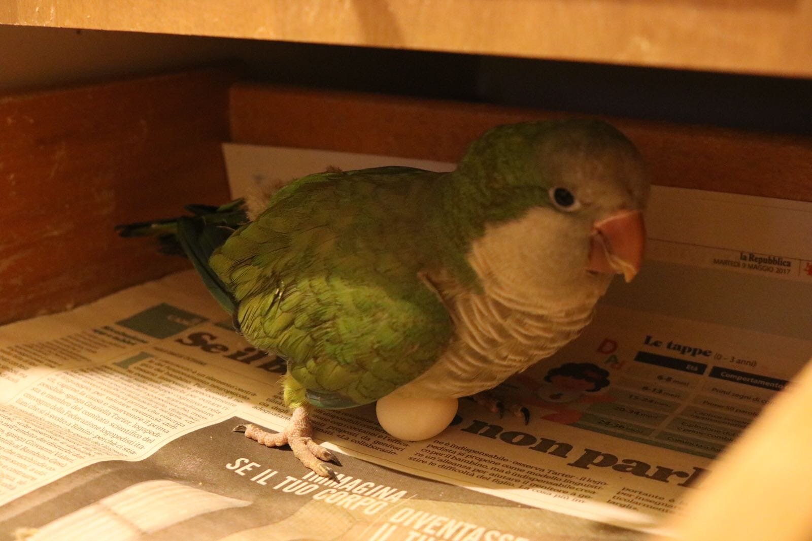 b3ab31fa-b6d1-4401-a13a-f14ab2ead0e4.jpeg b3ab31fa-b6d1-4401-a13a-f14ab2ead0e4.jpeg