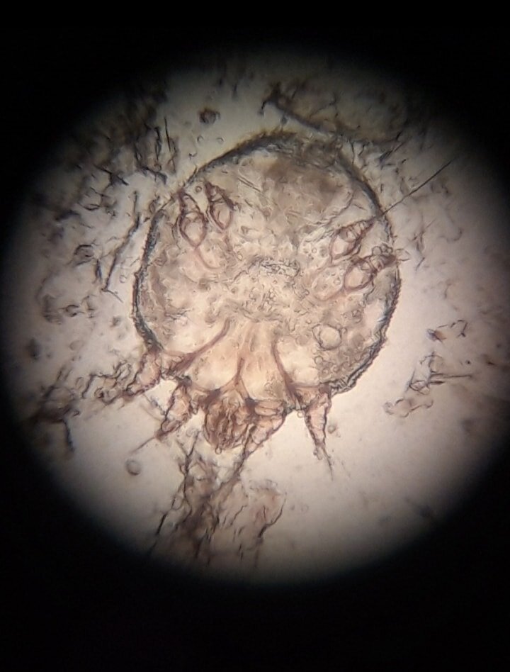 722a16c4-1a24-41e2-b4af-b4b698ac1875