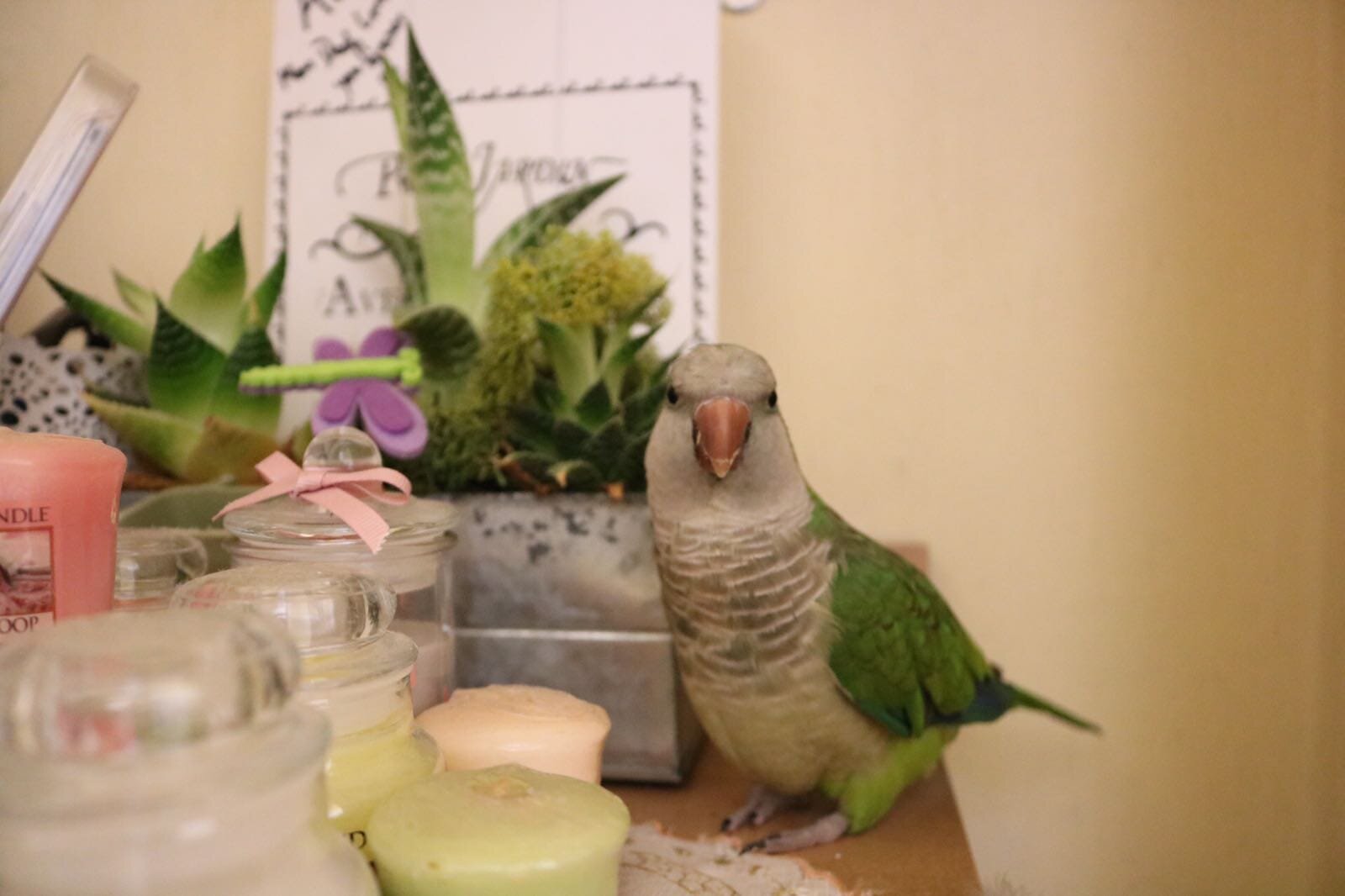 668d7197-c58e-4cff-ad38-f65bbde5b800.jpeg 668d7197-c58e-4cff-ad38-f65bbde5b800.jpeg