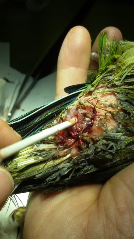 ebe298d5-3c0f-4364-b21f-b0391497f625.jpeg ebe298d5-3c0f-4364-b21f-b0391497f625.jpeg