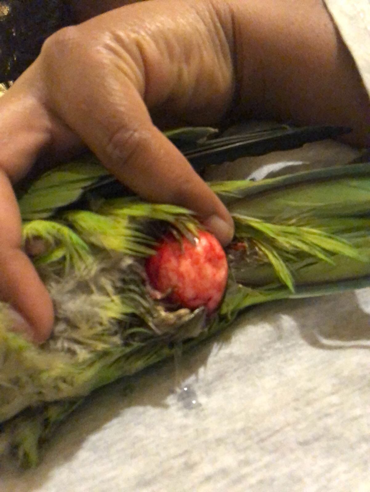 0d3402d5-1fe7-474e-a8b3-18a990e6c9b8.jpeg 0d3402d5-1fe7-474e-a8b3-18a990e6c9b8.jpeg