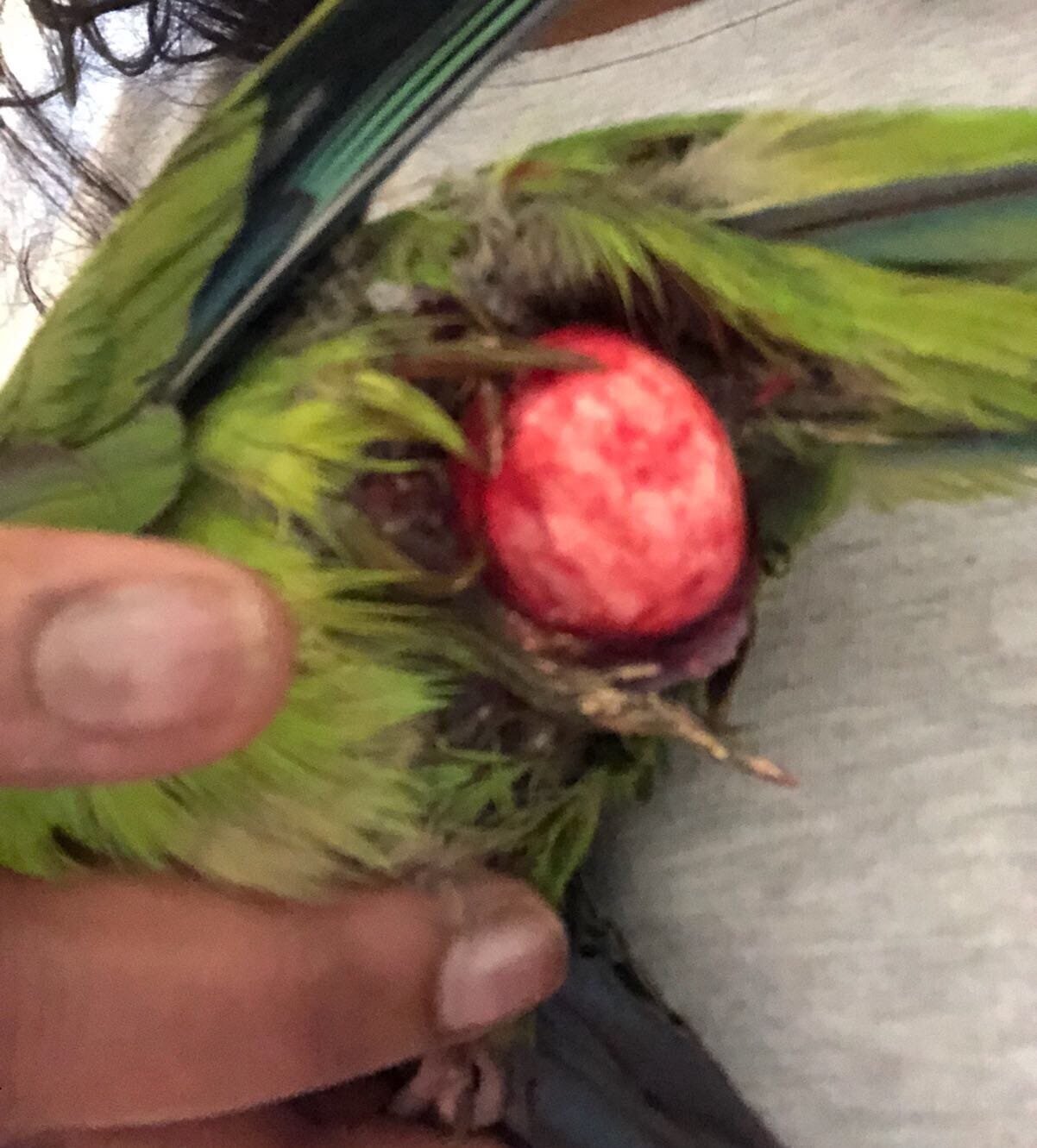 df71d059-c857-44a2-a29f-02027189b9f1.jpeg df71d059-c857-44a2-a29f-02027189b9f1.jpeg