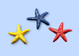 43c01c6e-5355-407b-9e81-f1d3766f8b4d