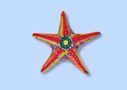 b6f2f0de-46f0-4c1e-a648-47b07868ce28