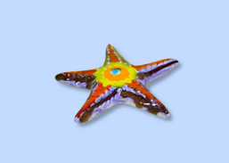 c3ccd89c-b074-40ef-93e2-1dbaec7d05d4