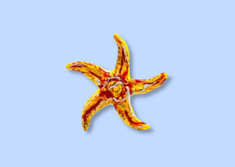 45cd8192-f427-453f-a235-24d245147bbd