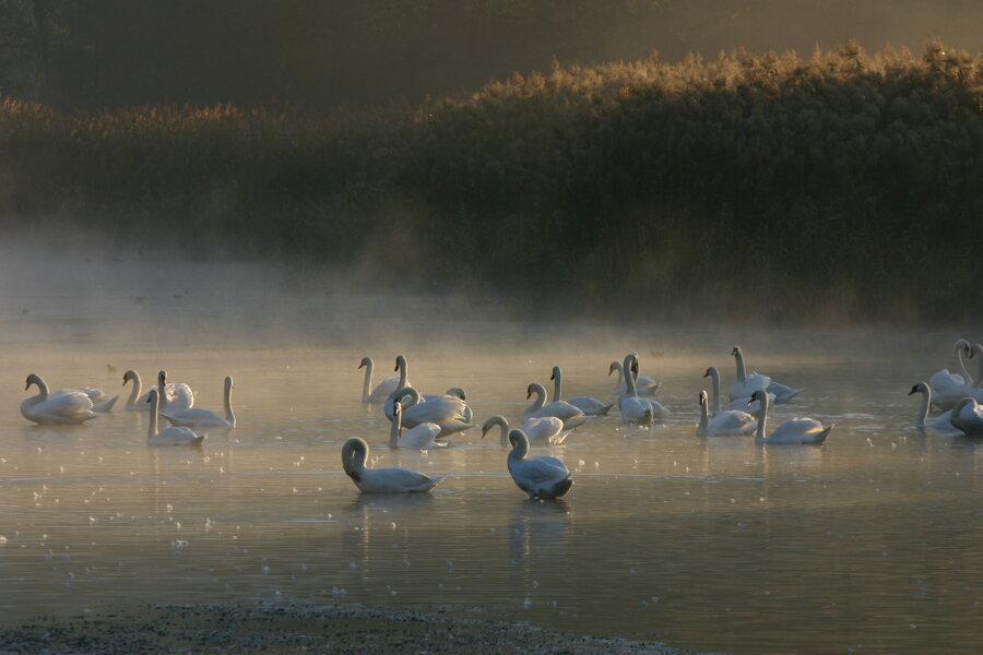 eyJlbiI6IiJ9 eyJlbiI6IiJ9