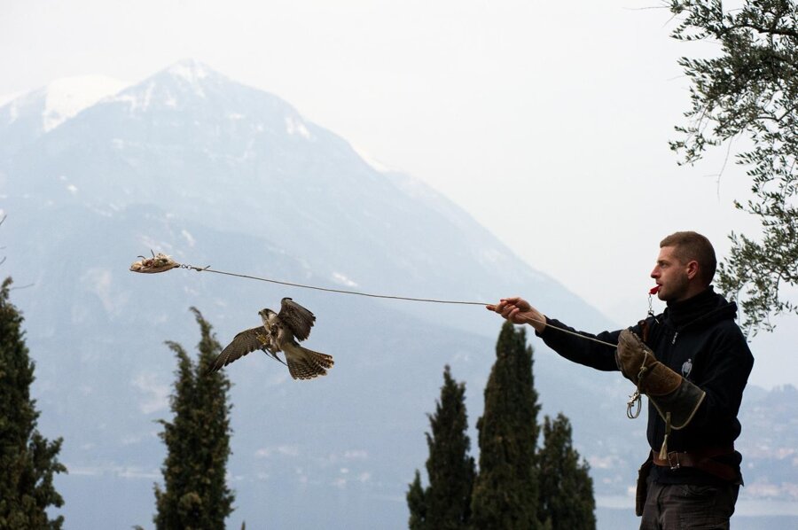 eyJlbiI6IiJ9 eyJlbiI6IiJ9