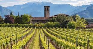 871d55ab-f0ac-4c1f-b77e-1cbb91545cd0.jpeg 871d55ab-f0ac-4c1f-b77e-1cbb91545cd0.jpeg