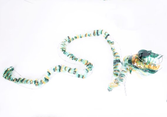 Ecdisi Lato 2 Ecdisi Lato 2