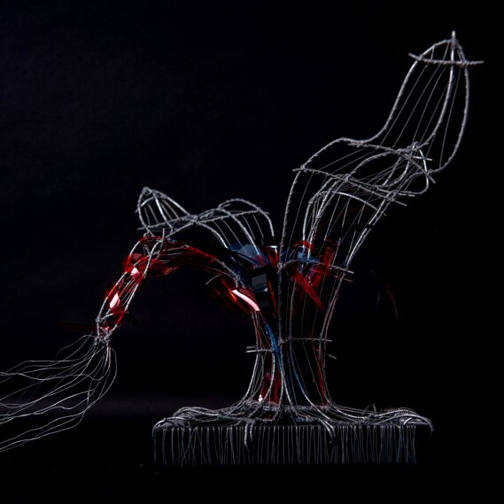 Narciso Lato 3 Narciso Lato 3