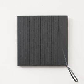 Eccessi (distorsioni, tracce), 2025 Vai alla pagina dedicata