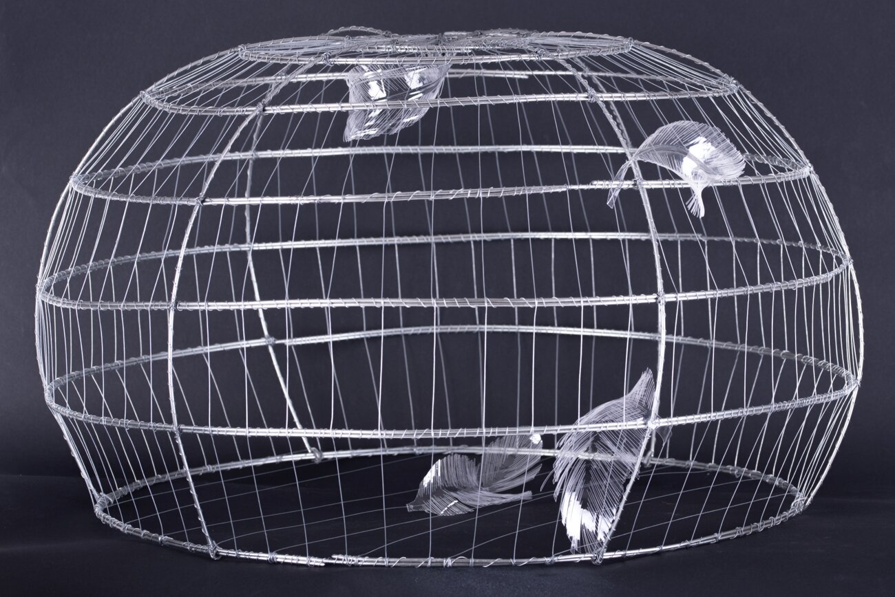 6dd0b859-0247-499a-8480-962aa66ffe89 6dd0b859-0247-499a-8480-962aa66ffe89