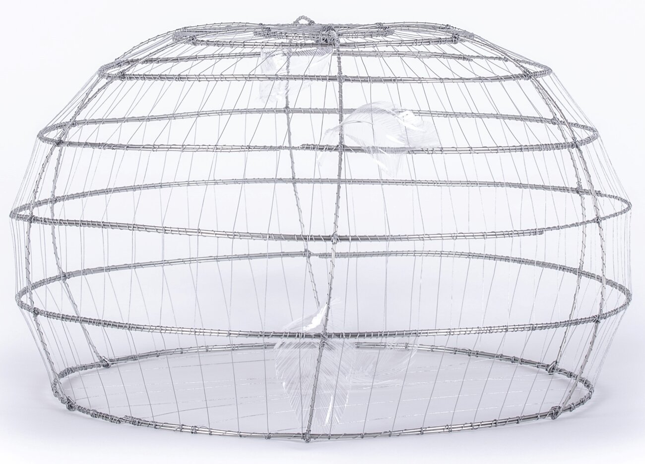 8662aa91-4a36-4717-a9e7-a268ed9e9e9a 8662aa91-4a36-4717-a9e7-a268ed9e9e9a