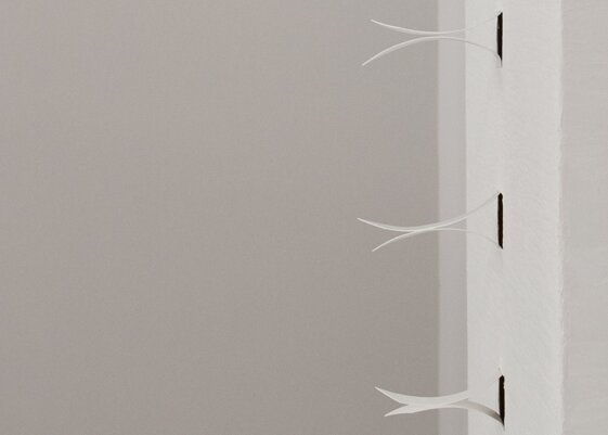 5e6a91e9-9618-4a62-982a-f3894ecd2442