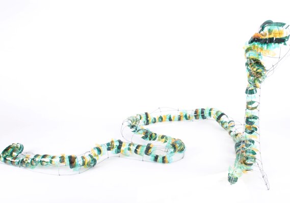 Ecdisi Lato 1 Ecdisi Lato 1