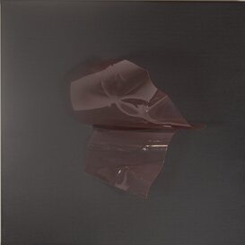 Eccessi (evanescenze), 2024 Vai alla pagina dedicata