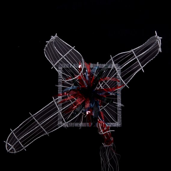 Narciso Lato 4 Narciso Lato 4