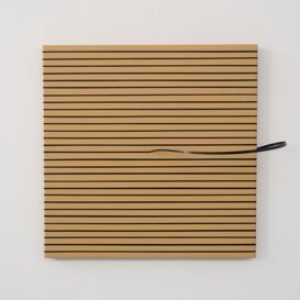 Excesses (distortions, parallel), 2025 Go to the dedicated page