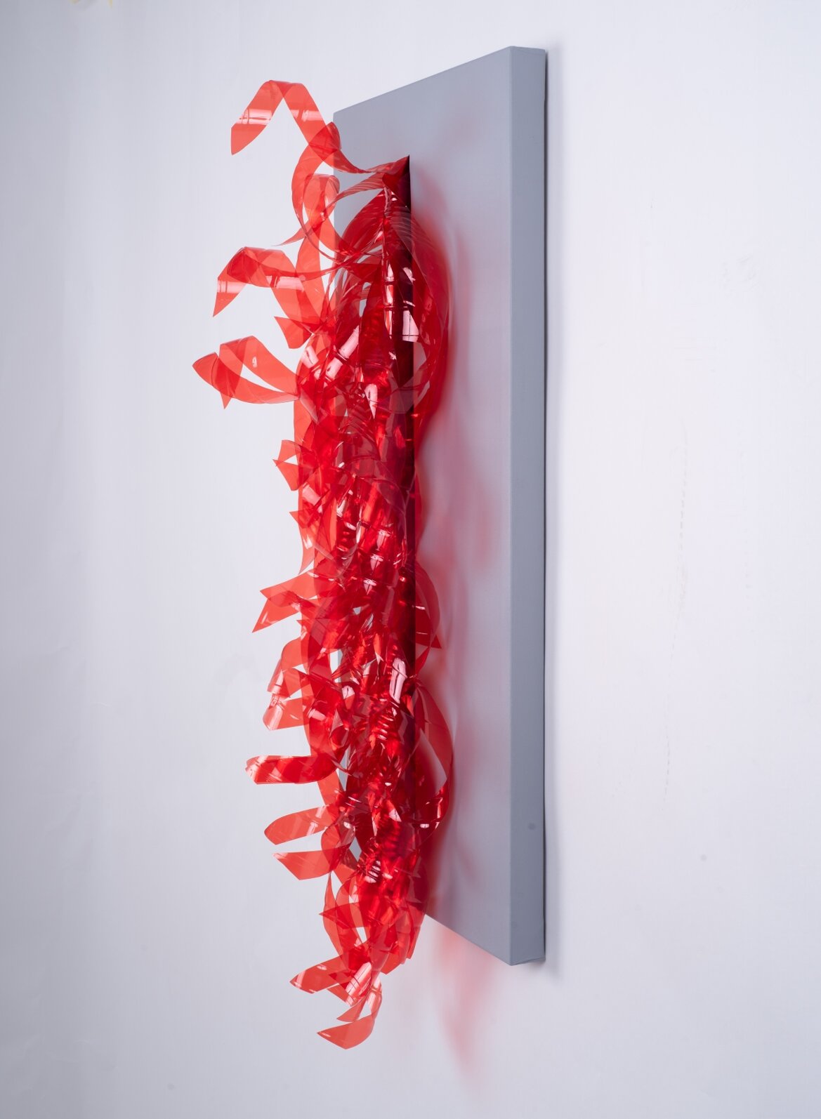 d4fd9776-7df6-427e-aed8-1b22d1759ec4