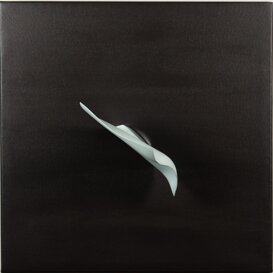 Eccessi (fluttuazione), 2024 Vai alla pagina dedicata