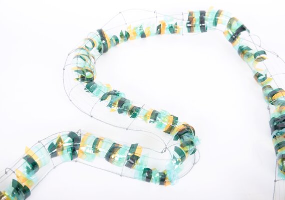 Ecdisi Dettaglio Ecdisi Dettaglio