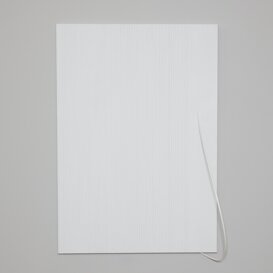 Eccessi (distorsioni, tracce, bianco), 2025 Vai alla pagina dedicata