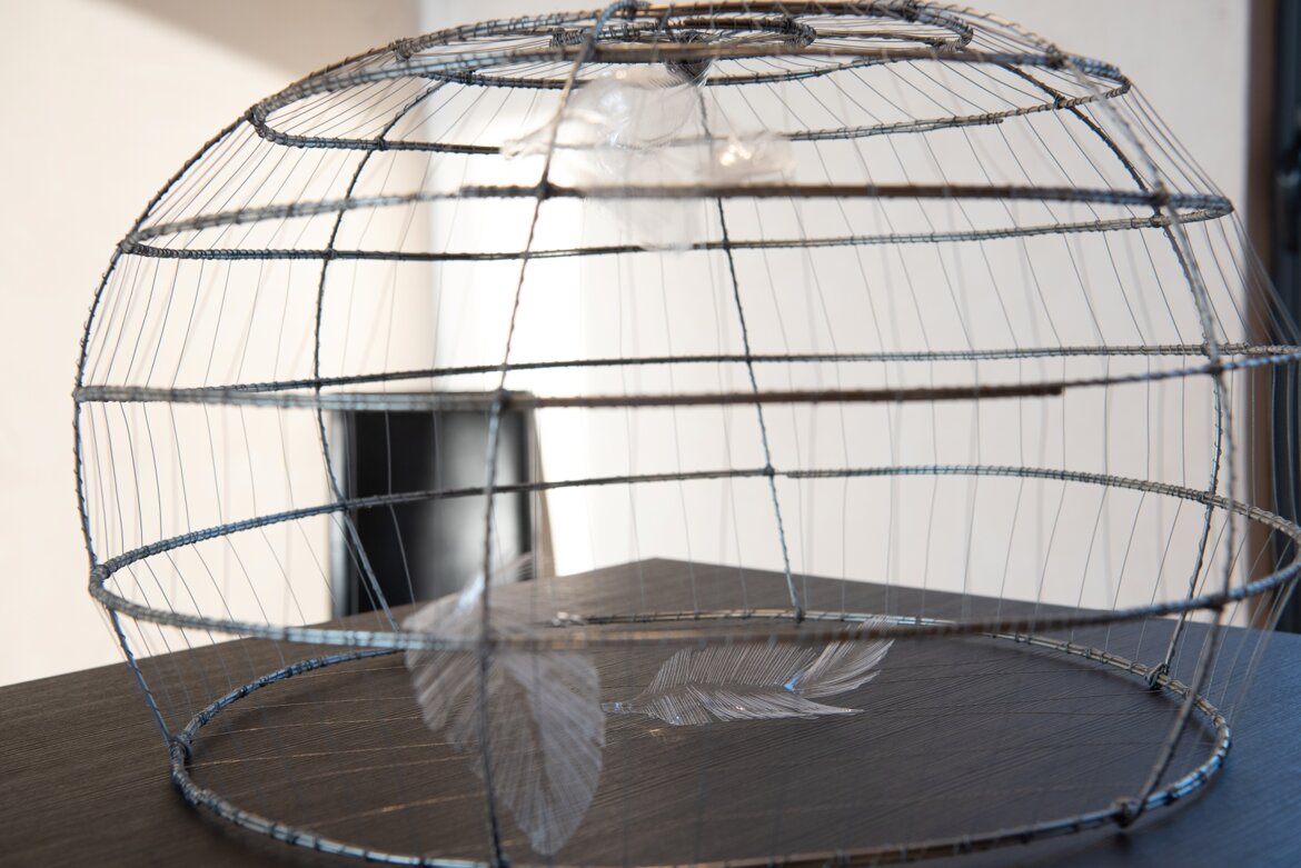 9168fe93-591c-4939-b7e6-217a059c02d0 9168fe93-591c-4939-b7e6-217a059c02d0