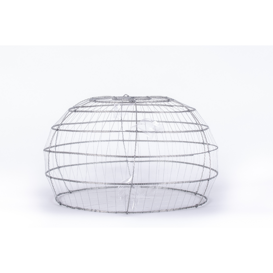 Libera espressione, 2023 Vai alla pagina dedicata