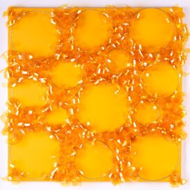 Isole, 2024 Vai alla pagina dedicata