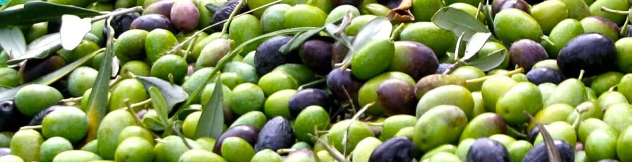 e6873ef0-e7f8-4342-aad0-6b28057afec2