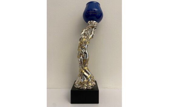 6d976154-e2fb-425b-a36a-56f375c2396d