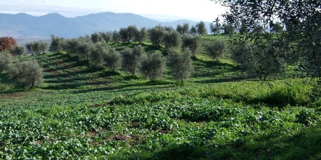 affd7e43-0977-4451-bdca-368a923626e5