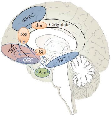 73a77861-0146-4fe2-9d29-cfd81162d184.jpg 73a77861-0146-4fe2-9d29-cfd81162d184.jpg