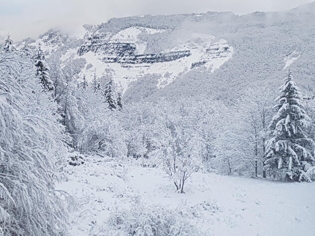 ef1a911e-1a28-40eb-bc9e-01e766355516