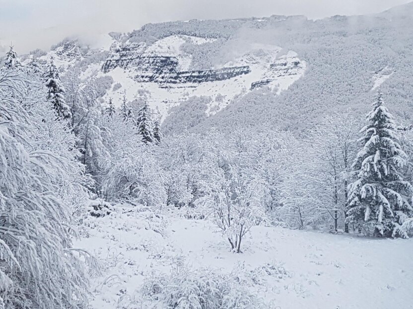 9dfdc0b9-5b37-4194-a6c3-b4fc9dee08bf