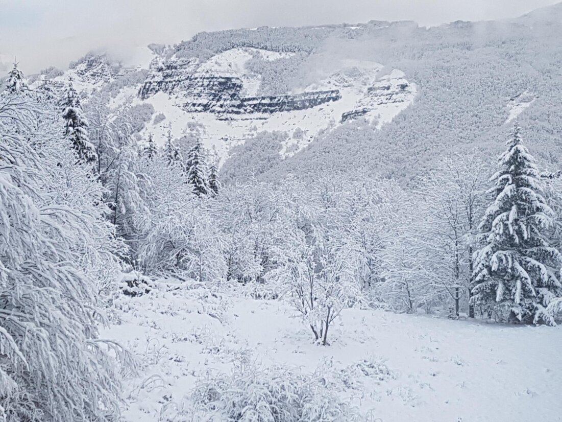 ef1a911e-1a28-40eb-bc9e-01e766355516