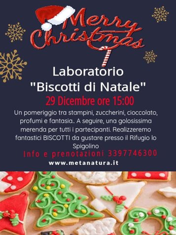 433f89a0-96d8-4ff7-abc4-b5ee86055f90