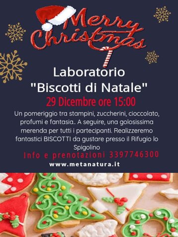 433f89a0-96d8-4ff7-abc4-b5ee86055f90