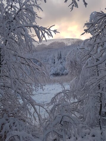 27cabb7c-86c2-4604-bfb4-44c002d5cb25