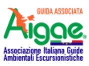 6f44ba5d-5397-42c3-9d26-533bfbac05cd