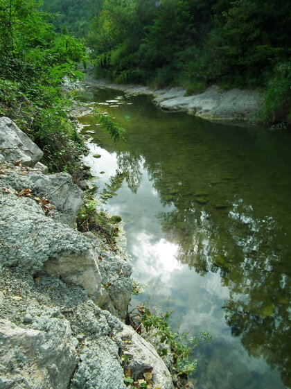 6d810359-6843-496e-aa36-1837414432ce