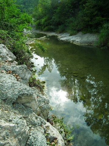 d8cf56bd-a288-42fb-8a74-871bc1426c2a