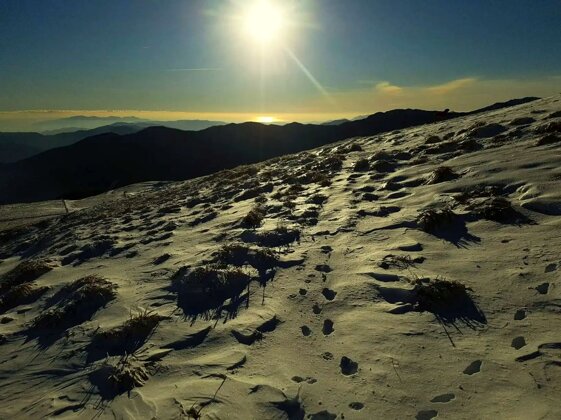 ad6e376c-bb41-4642-865a-9c036e82017f