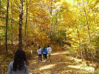 2083e085-2523-479c-af31-341dfc58f479